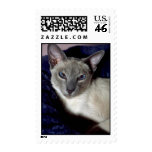 Lilac Point Postage