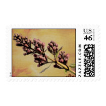 Lilac postage stamps by sruhs Lilac postage stamps