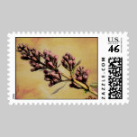 Lilac postage stamps