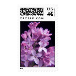 lilac stamps
