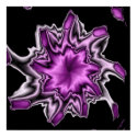 Lilac posters