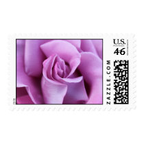 Lilac Rose Postage