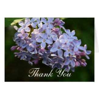 "Lilac Shimmering" Photography Thank You Greeting Card