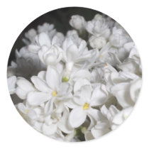 Lilac stickers by Anca_pui Lilac stickers