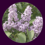 Lilac Stickers