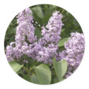 Lilac Stickers