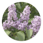 Lilac Stickers