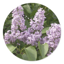 Lilac Stickers by SafireLady Lilac Stickers