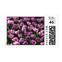 Lilac Tulips stamps