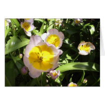 Lilac Wonder Tulip cards by JLWinther Lilac Wonder Tulip cards