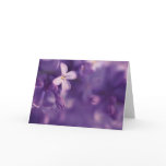 Lilacs, Blank Card, floral photography, greetings
