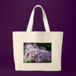 Lilacs in Full Bloom