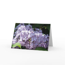 Lilacs in Full Bloom cards