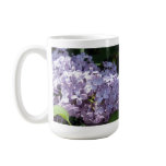 Lilacs in Full Bloom
