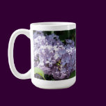 Lilacs in Full Bloom