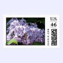 Lilacs in Full Bloom postage