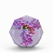 Lilacs in Springtime Awards