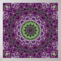 Lilacs Kaleidoscope posters