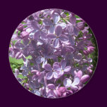 Lilacs