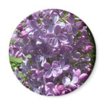 Lilacs magnets
