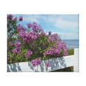 Lilacs on the Fence Canvas Prints