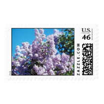 Lilacs Postage Stamps stamps