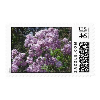 Lilacs Postage Stamps stamp