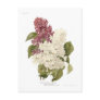Lilacs Postcard