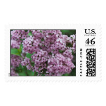 Lilacs Stamp by Captain_Panama Lilacs Stamp