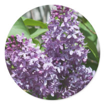 Lilacs stickers by bluerabbit Lilacs stickers