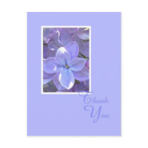Lilacs Sympathy or Death Thank You Postcard