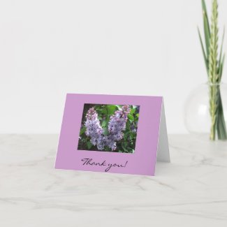 Lilacs Thank you Card card