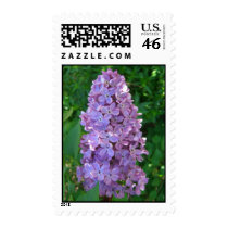 Lilacs Up Close Stamps by wingedturtle Lilacs Up Close Stamps