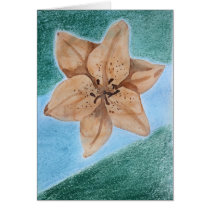 lilie aquarell, pastell, streifen card