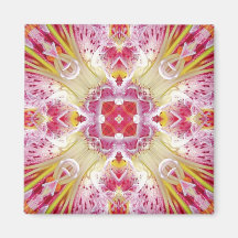 Lilie rosa - Lily pink Magnets