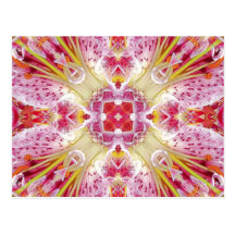 Lilie rosa - Lily pink Post Card