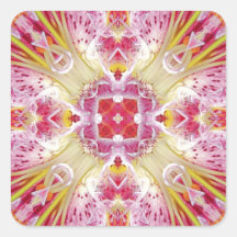 Lilie rosa - Lily pink Square Sticker