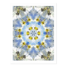 Lilie weiß - Lily White Postcard