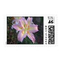 lilies3 010 postage by jazzrock lilies3 010 postage