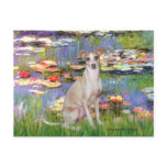 Lilies 2 - Italian Greyhound 5 Post Card