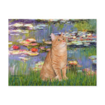 Lilies 2 - Orange Tabby cat 46 Post Cards