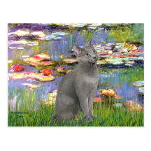 Lilies 2 - Russian Blue cat Post Cards