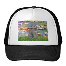 Lilies 2 - Russian Blue cat Trucker Hats