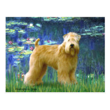 Lilies 5 - Wheaten Terrier (stand) Post Card
