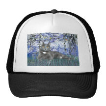 Lilies 6 - Grey cat Hat