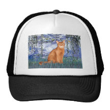 Lilies 6 - Red Abyssinian Hats