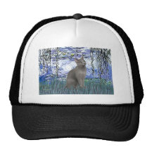 Lilies 6 - Russian Blue cat Mesh Hat