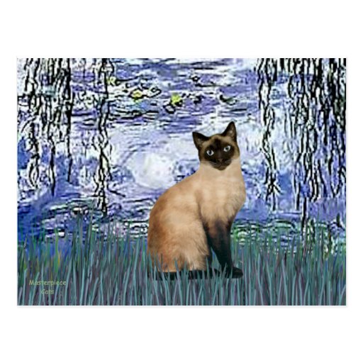Lilies 6 - Seal Point Siamese cat Post Cards