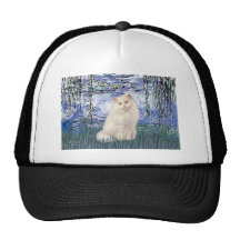 Lilies 6 - White Persian cat Trucker Hats