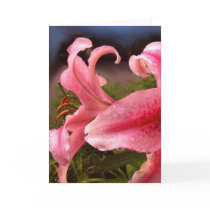 Lilies after the rain cards by Mypic4all Lilies after the rain cards